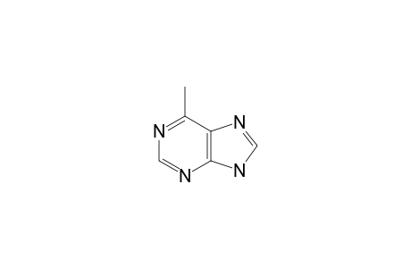 6-Methylpurine