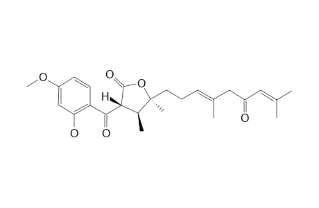 KOPETDAGHIN_D;3-S*-(2-HYDROXY-4-METHOXYBENZOYL)-4-R*,5-R*-DIMETHYL-5-[3-(E),7-(E)-NONADIEN-11-ONE-6-YL]-DIHYDROFURAN-2-(3-H)-ONE