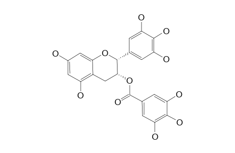 (-)-Epigallocatechin gallate