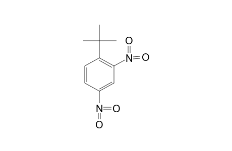 1-tert-BUTYL-2,4-DINITROBENZENE