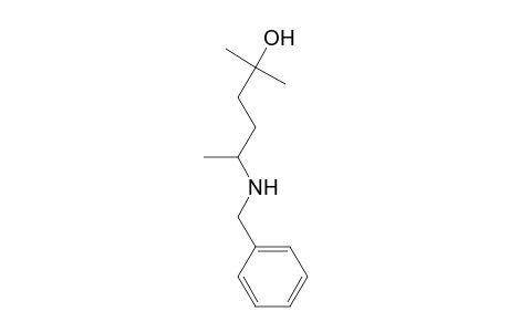 5-(BENZYLAMINO)-2-METHYL-2-HEXANOL