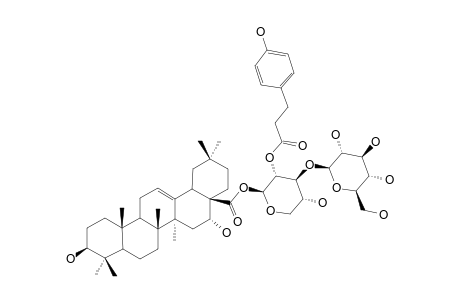 28-O-[GLUCOPYRANOSYL-(1->3)-2-[3-(4-HYDROXYPHENYL)-PROPIONYLOXY]-XYLOPYRANOSYL]-ECHINOCYSTIC-ACID-ESTER