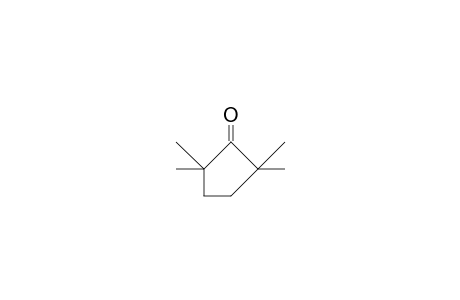 2,2,5,5-Tetramethyl-cyclopentanone