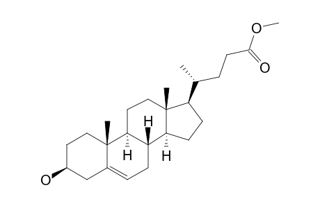 3-HYDROXY-METHYL-5-BETA-CHOL-5(6)-ENOATE