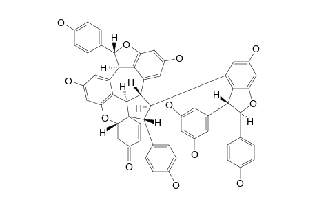 SHOREAKETONE;MAJOR-CONFORMER