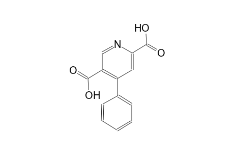 4-Phenyl-2,5-pyridinedicarboxylic acid