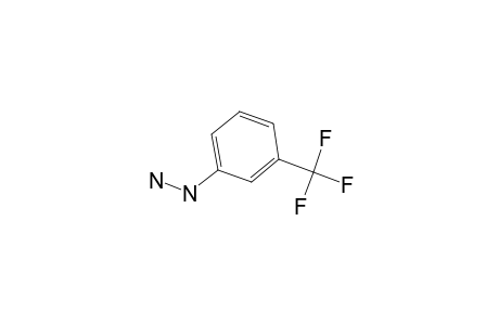 3-(Trifluoromethyl)phenylhydrazine