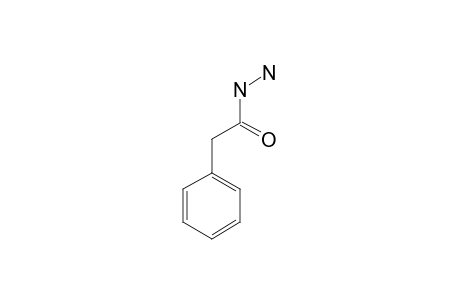 phenylacetic acid, hydrazide