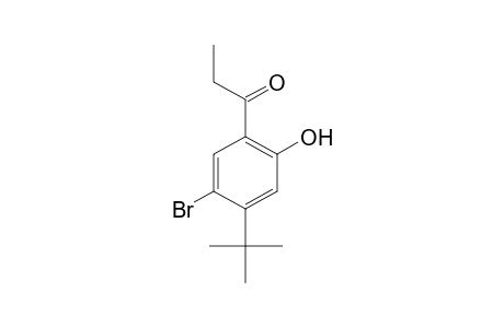 5'-bromo-4'-tert-butyl-2'-hydroxypropiophenone