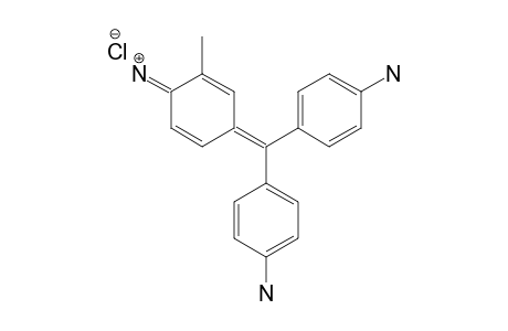 Basic Fuchsin, special for flagella