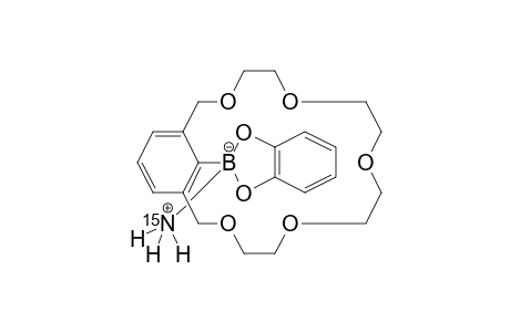 1,3-Xylyl-18-crown-5,2-(benzo-1,3,2-dioxaborol-2-yl)-, *(15)NH3