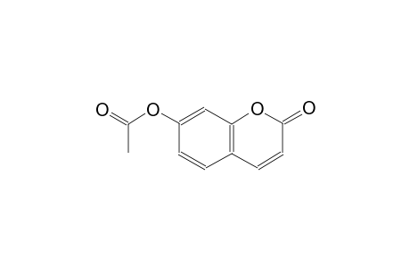 7-Acetoxycoumarin