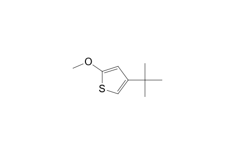 4-(t-Butyl)-2-methoxythiophene