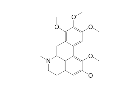 ACUTIFOLIDINE