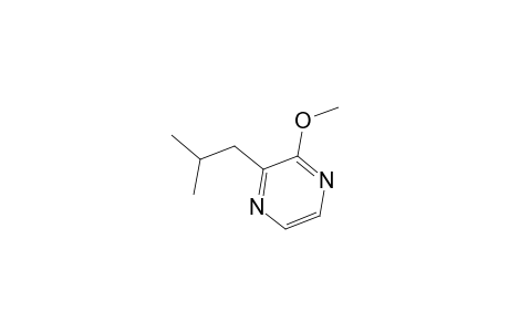 2-Isobutyl-3-methoxy-pyrazine