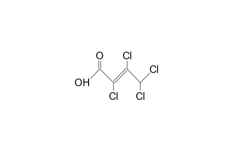 (E)-2,3,4,4-TETRACHLOR-2-BUTENSAEURE