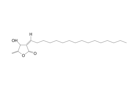 2(3H)-FURANONE, 3-HEXADECYLIDENE-DIHYDRO-4-HYDROXY-5-METHYLENE-