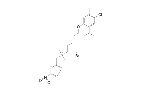 {5-[(6-chlorothymyl)oxy]pentyl}dimethyl(5-nitrofurfuryl)ammonium bromide