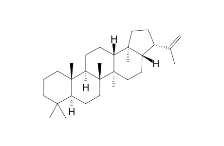 Hop-22(29)-ene