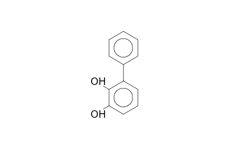 [1,1'-Biphenyl]-2,3-diol