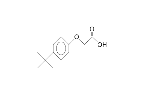 (p-tert-BUTYLPHENOXY)ACETIC ACID