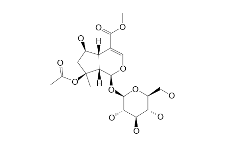 BARLERIN;8-O-ACETYLSHANZHISIDE-METHYLESTER