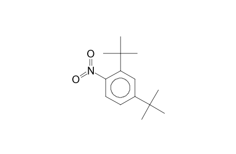 2,4-DI-tert-BUTYL-1-NITROBENZENE