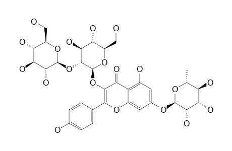 KAEMPFEROL-3-O-BETA-GLUCOPYRANOSYL-(1->2)-BETA-GLUCOPYRANOSYL-7-O-ALPHA-RHAMNOPYRANOSIDE