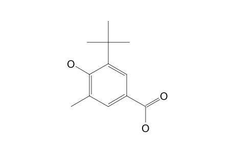 5-tert-BUTYL-4-HYDROXY-m-TOLUIC ACID