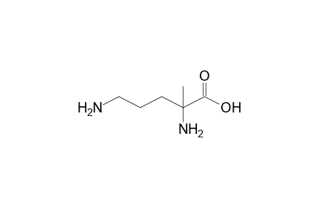 2-Methylornithine