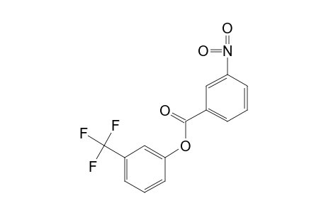 alpha,alpha,alpha-TRIFLUORO-m-CRESOL, m-NITROBENZOATE