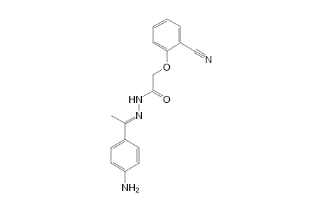 N'-[(E)-1-(4-Aminophenyl)ethylidene]-2-(2-cyanophenoxy)acetohydrazide