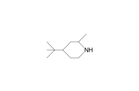 cis-4-tert-Butyl-2-methyl-piperidine