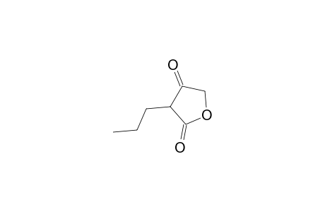 2,4(3H,5H)-Furandione, 3-propyl-