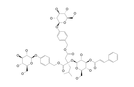 GYMNOSIDE_IV