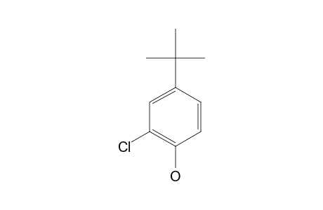 4-tert-Butyl-2-chlorophenol