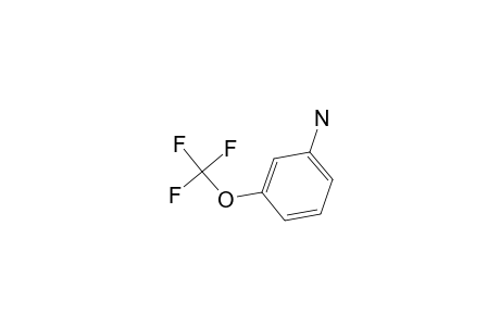 3-(Trifluoromethoxy)aniline