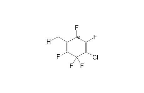 2-CHLORO-5-METHYLPENTAFLUOROBENZOLONIUM CATION