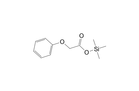 Acetic acid, phenoxy-, trimethylsilyl ester