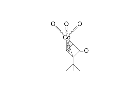 (/.eta.-3/-2-tert-Butyl-1-oxo-cyclobutenyl) cobalt tricarbonyl