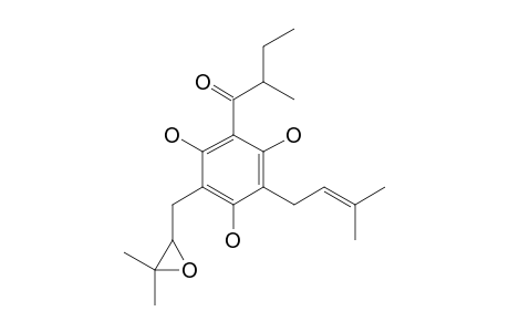 1,3,5-TRIHYDROXY-6-[2''',3'''-EPOXY-3'''-METHYL-BUTYL]-2-[2''-METHYL-BUTANOYL]-4-[3'METHYL-2'-BUTENYL]-BENZENE