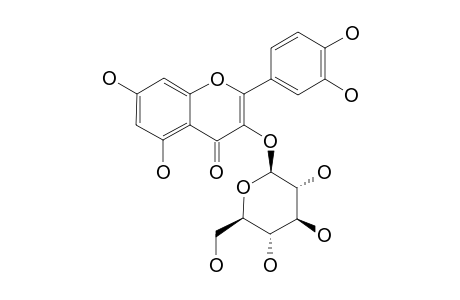 Isoquercitrin