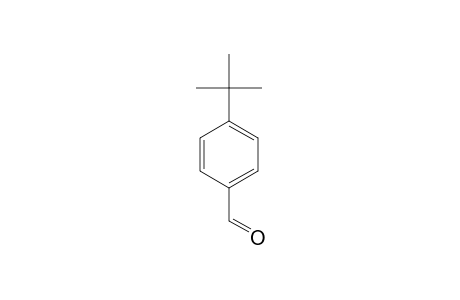 4-tert-Butylbenzaldehyde