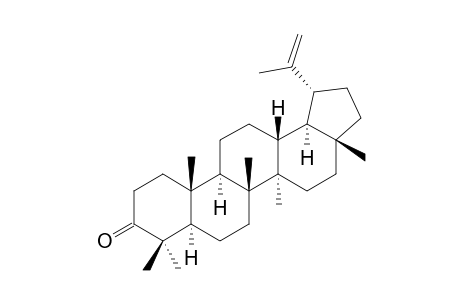 LUPENON