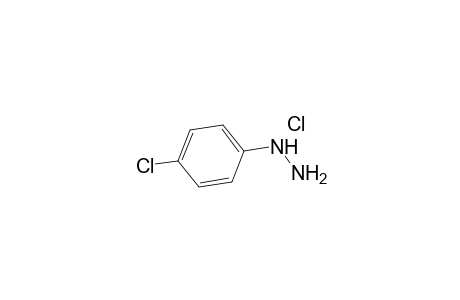 4-Chlorophenylhydrazine hydrochloride