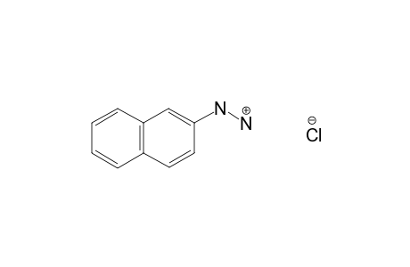 (2-naphthyl)hydrazine, monohydrochloride