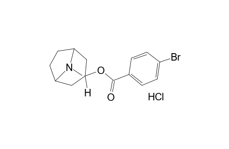 tropan-3-ol, p-bromobenzoate (ester), hydrochloride