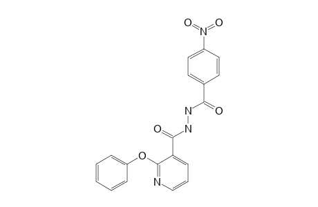 1-(p-nitrobenzoyl)-2-(2-phenoxynicotinoyl)hydrazine