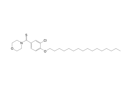 4-[3-chloro-4-(hexadecyloxy)thiobenzoyl]morpholine