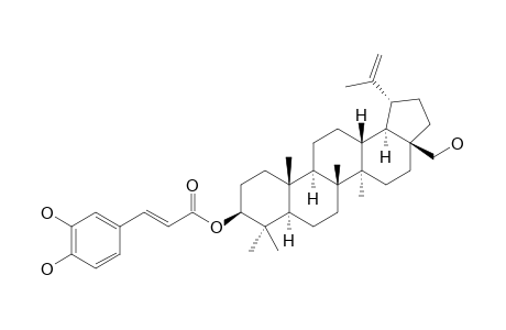 BETULIN-3-BETA-CAFFEATE